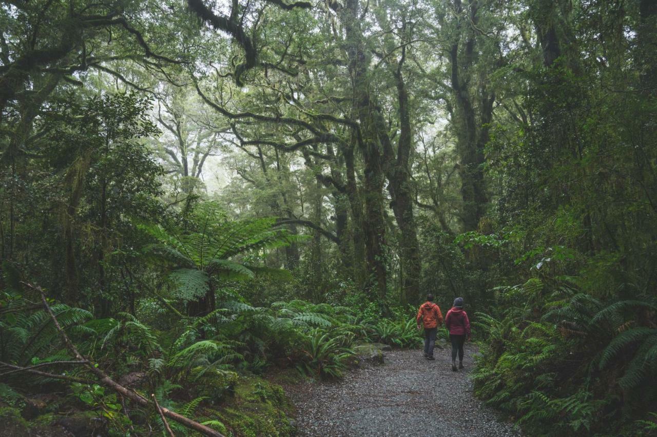 Fiordland National Park Lodge Te Anau Downs Eksteriør bilde