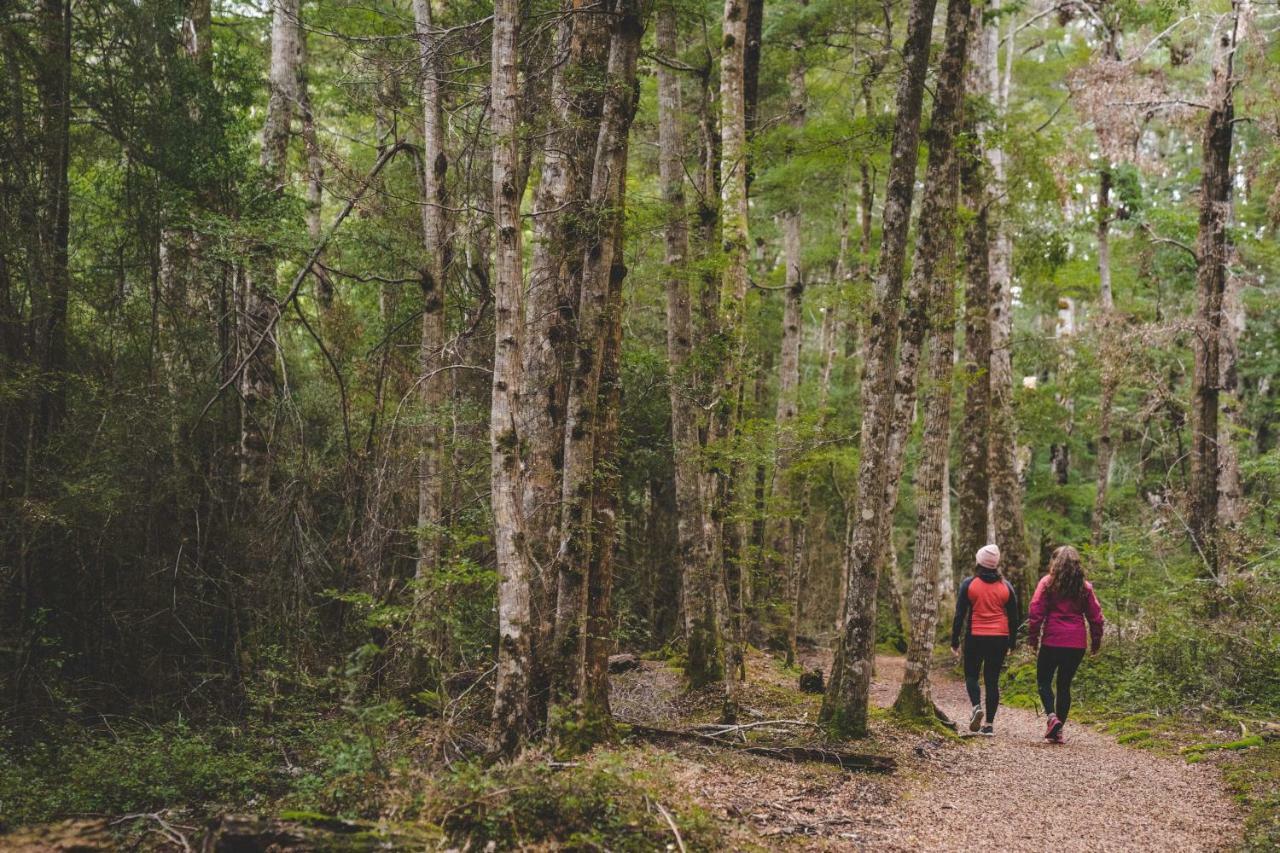 Fiordland National Park Lodge Te Anau Downs Eksteriør bilde
